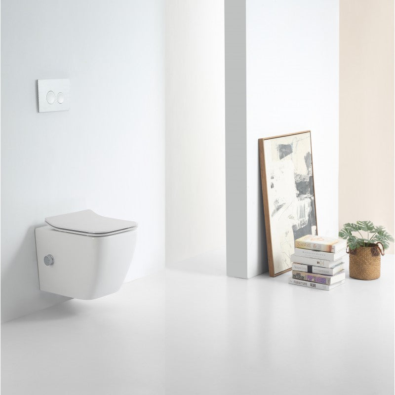 Style rimless short projection wall hung WC with hot/cold bidet mixing valve pan with soft close seat.