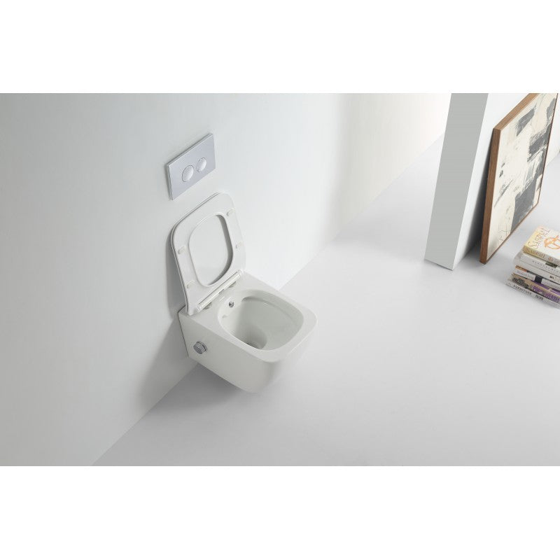 Style rimless short projection wall hung WC with hot/cold bidet mixing valve pan with soft close seat.