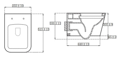 Milan Rimless Wall Hung Square Pan, Seat & Wall Fixings